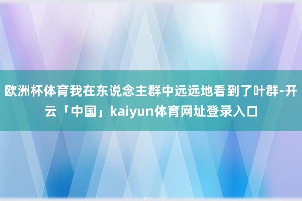 欧洲杯体育我在东说念主群中远远地看到了叶群-开云「中国」kaiyun体育网址登录入口