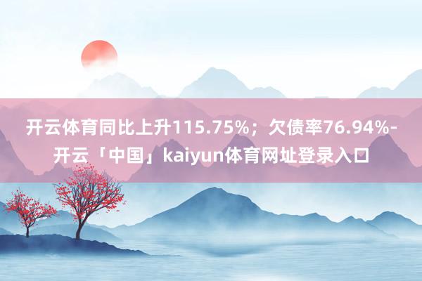 开云体育同比上升115.75%；欠债率76.94%-开云「中国」kaiyun体育网址登录入口