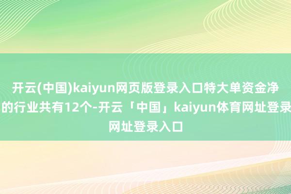 开云(中国)kaiyun网页版登录入口特大单资金净流出的行业共有12个-开云「中国」kaiyun体育网址登录入口