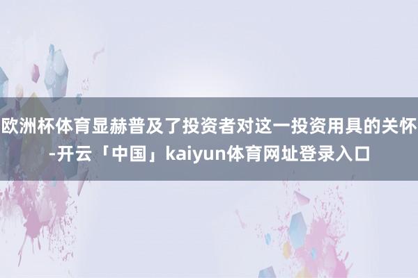 欧洲杯体育显赫普及了投资者对这一投资用具的关怀-开云「中国」kaiyun体育网址登录入口