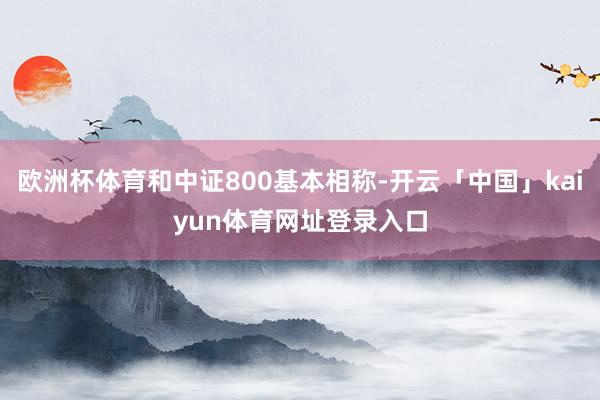 欧洲杯体育和中证800基本相称-开云「中国」kaiyun体育网址登录入口