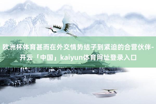 欧洲杯体育甚而在外交情势结子到紧迫的合营伙伴-开云「中国」kaiyun体育网址登录入口