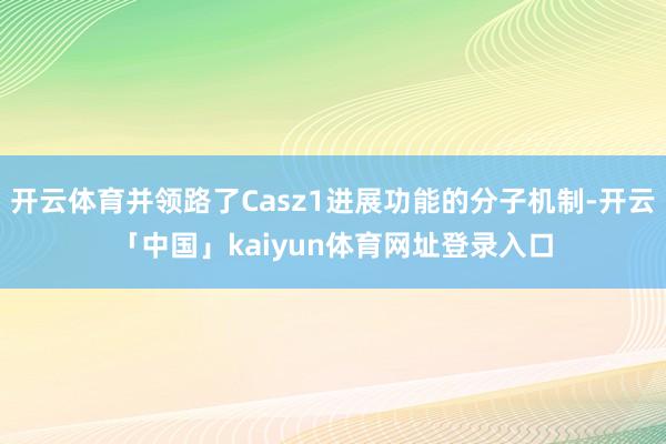 开云体育并领路了Casz1进展功能的分子机制-开云「中国」kaiyun体育网址登录入口