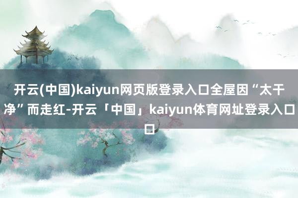 开云(中国)kaiyun网页版登录入口全屋因“太干净”而走红-开云「中国」kaiyun体育网址登录入口