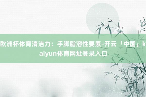 欧洲杯体育清洁力:手脚脂溶性要素-开云「中国」kaiyun体育网址登录入口